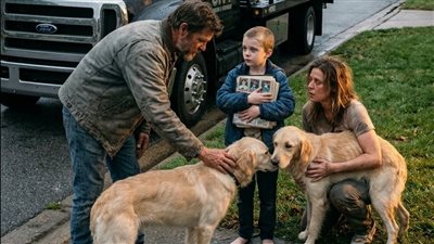 The Day the City Chose to Be Human Story